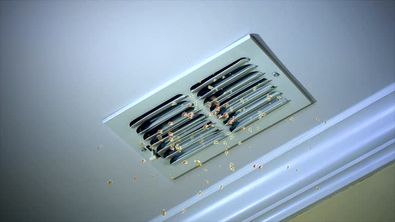 Best Professional Duct Cleaning Services  in Salem, VA
